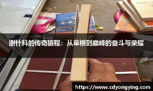 MK体育官方网站